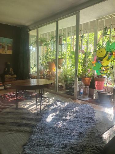 Libros y plantas a 5 minutos del centro en bus, Madrid (foto 6)