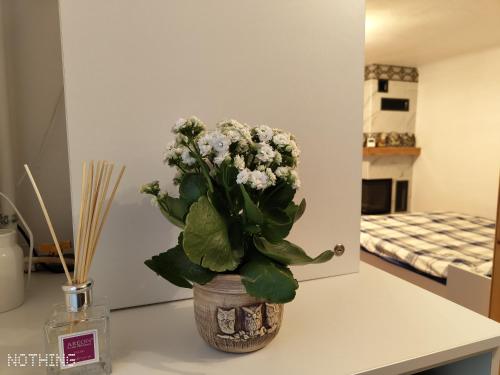 Studio Catalin, Brasov (foto 10)