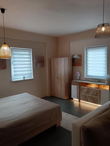 One-Bedroom Apartment with View