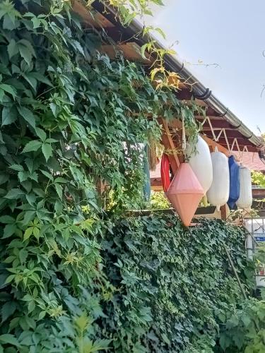 Casa OZZY&PATTY Casa OZZY&PATTY