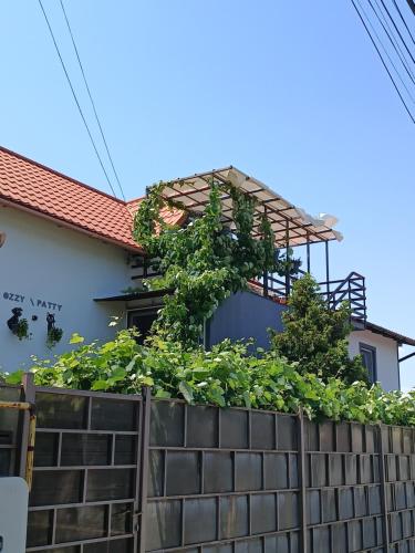 Casa OZZY&PATTY Casa OZZY&PATTY