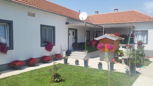 Apartman Villa Ruža, Golubac