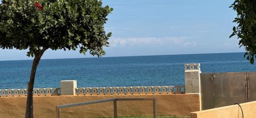 Apartamentos Talima - BTB - image 6