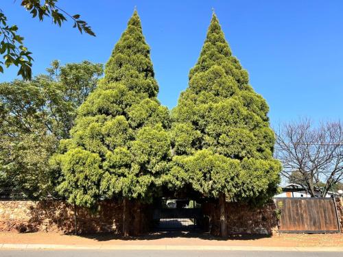 Two Firs Irene, Centurion