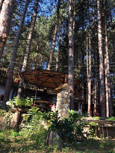 . Apartman medju borovima 2