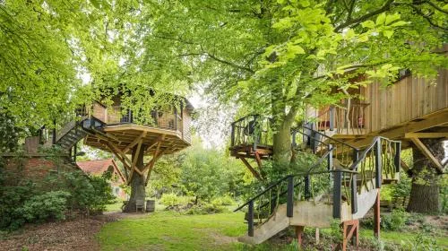 Baumhaus Solitär in Borstel, Deutschland