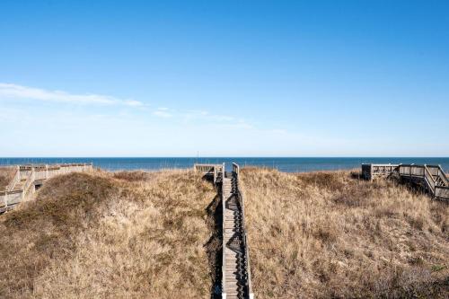 NH205 Celestial Shore - image 2