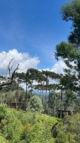 Vale Dourado Cabanas Vale Dourado Cabanas