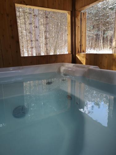 Au Chic Chalet des Chutes Chic Chalet in Lac-Rocher (QC)