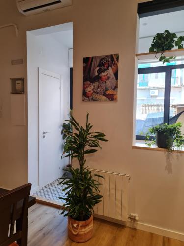 Apartamento Jadisa - image 14