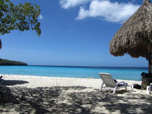 Plaj, CAS IGUANA - Curacao - Villapark Fontein - Ferienhaus mit Pool in Fontein