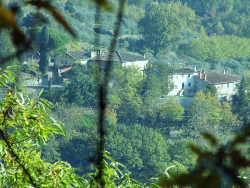 Casa Vacanze Podere Ugolini