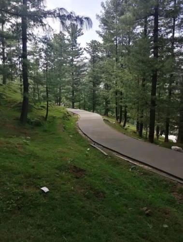 Nathiagali Cottages - image 4