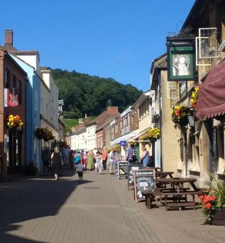 Best of both worlds, trees & town in Kelet-Cam