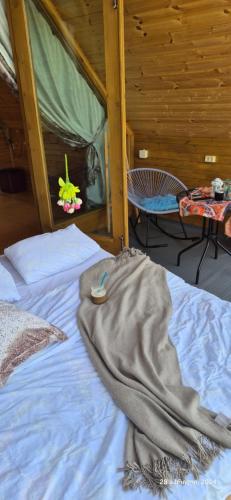 Cottage lima, Kutaisi (foto 6)
