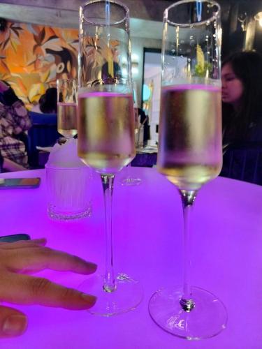 Victor Gallery hotel & spa - Victor Group