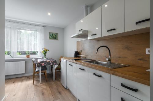 кухня, Kurka Wodna - Apartamenty na Mazurach in Єдвабно