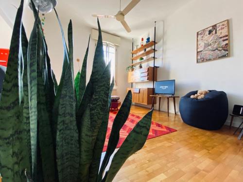 CasaTimavo23, Bolonia (foto 11)