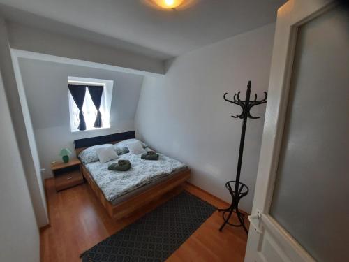 Zöld Béka Apartmanok Kölcsey III - image 5