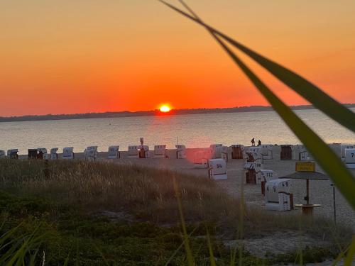 пляж, Nahe Kiel, Neues Ferienhaus an der Ostsee mit Sauna,Kamin und Garten,Parkplatz,5 Betten, 3 Schlafzim in Osdorf