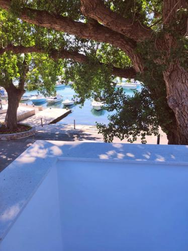 Riva in เคลโนวิกา