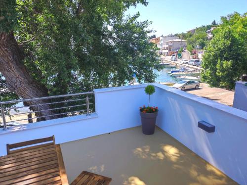 Riva in เคลโนวิกา