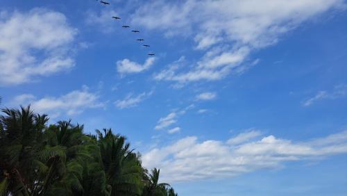 Villa Assinie on the beach in Esterillos Villa Assinie on the beach in Esterillos