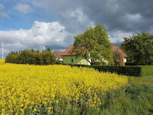 Ferienhaus Uckermark in 卡塞科