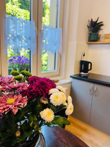 Apartamenty Stare Miasto Sobieski