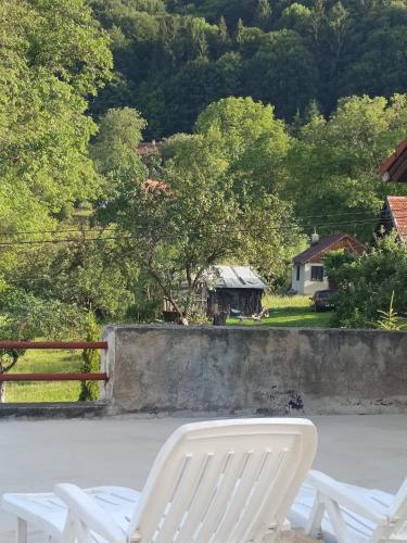 Mediu înconjurător, Britania in Bran