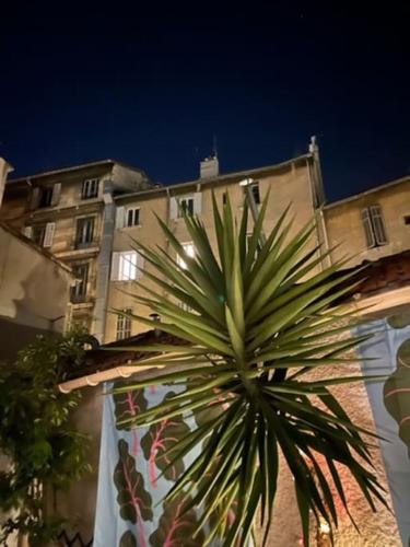 Appartement centre ville avec Patio, Marseille (fotografie 3)