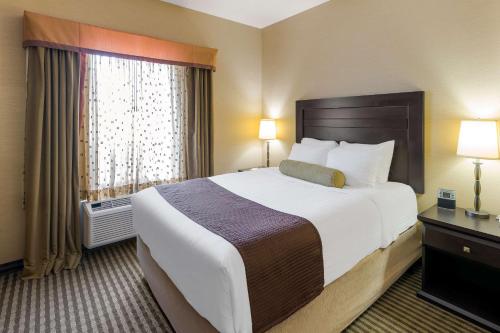 Queen Suite