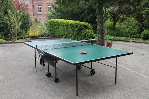 Hotel Adlerhof - image 7