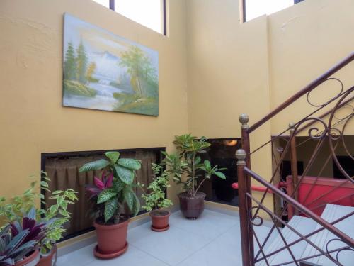 ทัศนียภาพ, Hotel El Ejido in ซานฮวน