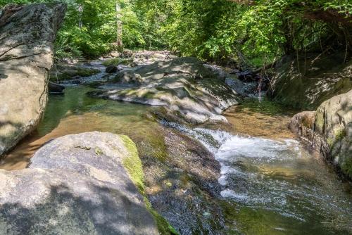 Bliss Point Farm - image 13