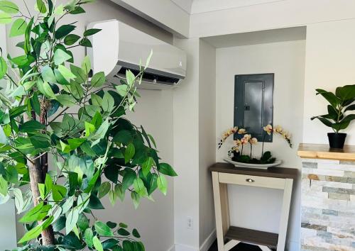 Downtown 2B1B Private Suite in Nanaimo, Canada