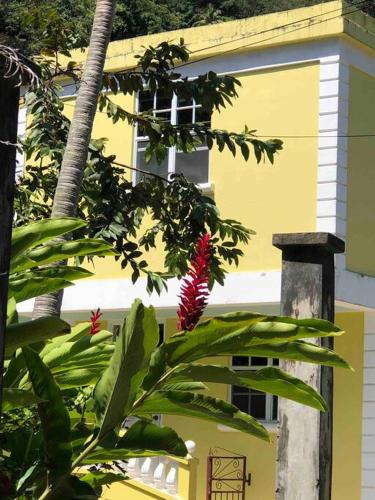 Cozy Single Getaway in Saint George