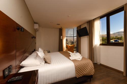 Hotel Mitru Sur