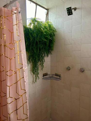 Bonito y acogedor loft en zona céntrica de Puebla in San Baltasar, Mexico