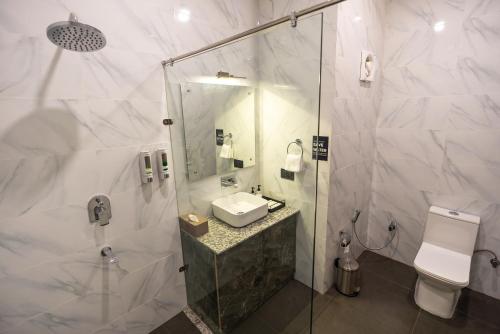 Aotel by Clarks Inn Palampur, Palampur (photo 10)