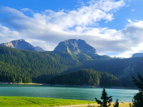 Apartments Zorić - image 5