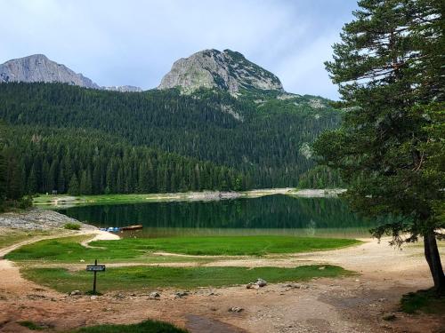 Apartments Zorić - image 3