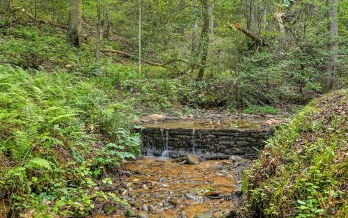 Creekside Retreat - Roast Marshmallow by the Creek in Ellijay, USA