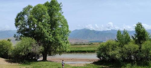Эко отель by Asel Aziz, Tyup (Foto 7)