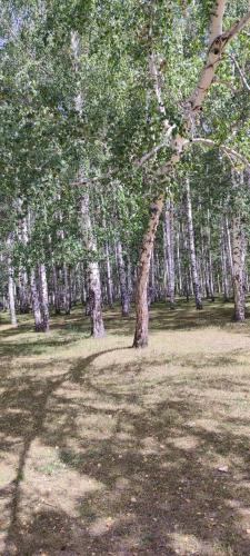 Эко отель by Asel Aziz, Tyup (Foto 9)
