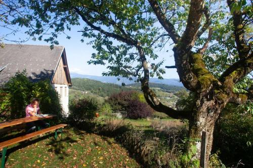 Apkārtne, Großes Appartement mit 2 Schlafzimmer für 4 Personen (Großes Appartement mit 2 Schlafzimmer fur 4 Personen) in Sankt Paul Im Lavanttal