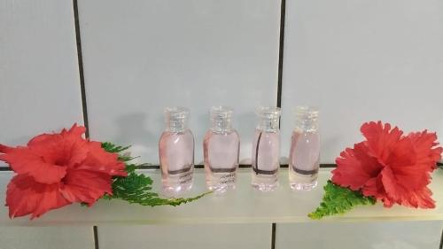 Fern Lodge Self Catering Fern Lodge Self Catering