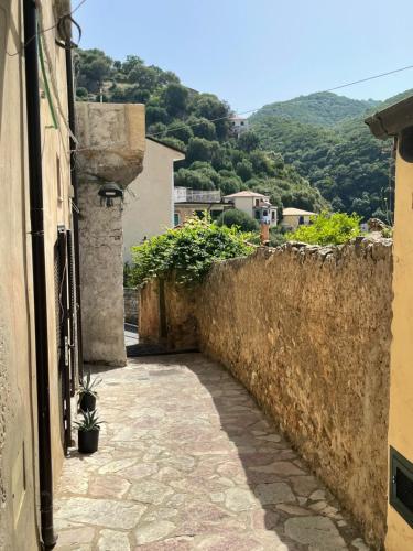 Cozy Studio, Pisciotta (Foto 2)