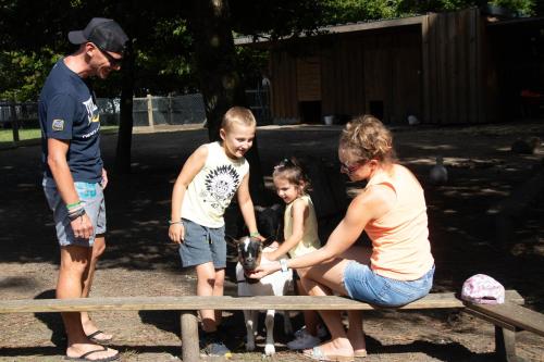 Camping Saint Laurent Camping Saint Laurent