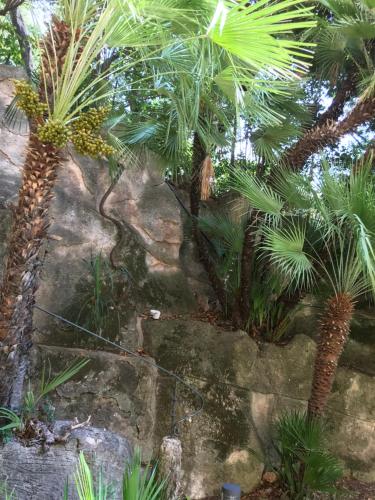 Valbois – Cannes, CT